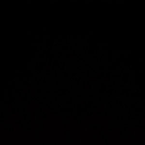 Meet your Posher, Shadow